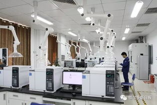 一季度鄂爾多斯經濟運行總體平穩向好，計算機系統集成產業展現活力