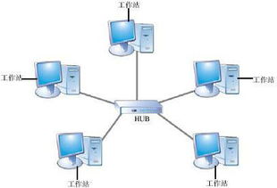 西城高級中學(xué)網(wǎng)絡(luò)技術(shù)應(yīng)用模塊期末試題解析 計算機軟硬件技術(shù)開發(fā)